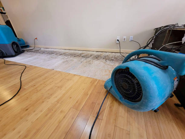 Reliable Basement Flood Cleanup contractor in New Lenox, IL by Hirex Water Damage