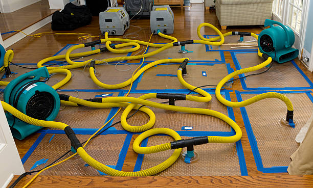 Professional Basement Flood Cleanup technician working in New Lenox, IL